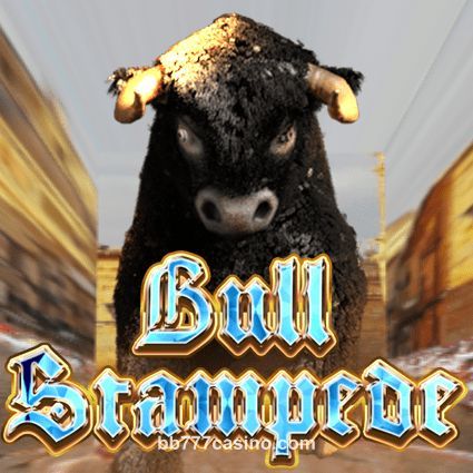 Bull Stampede bb777